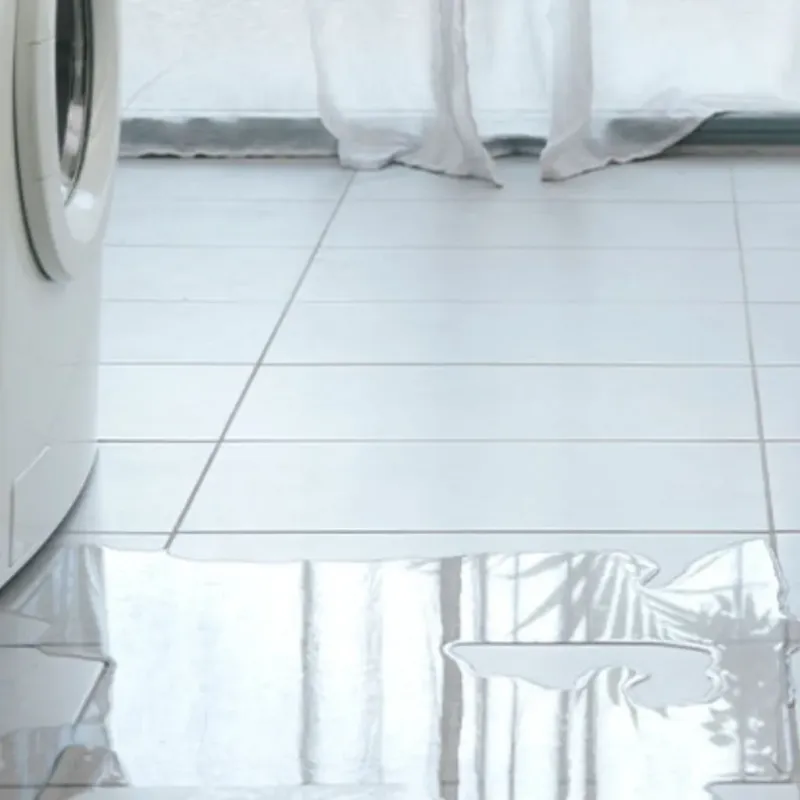 Appliance Leak Cleanup in Berry, AL