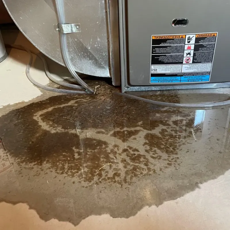 Pipe Burst and Leak Restoration in Berry, AL
