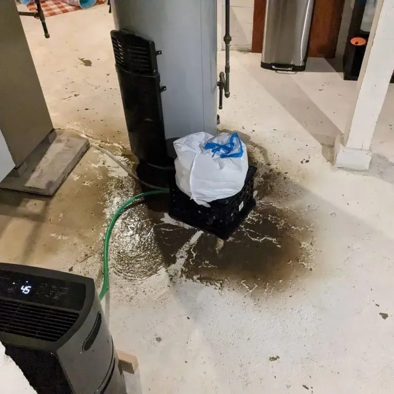 Sewage Backup Cleanup Service in Berry, AL